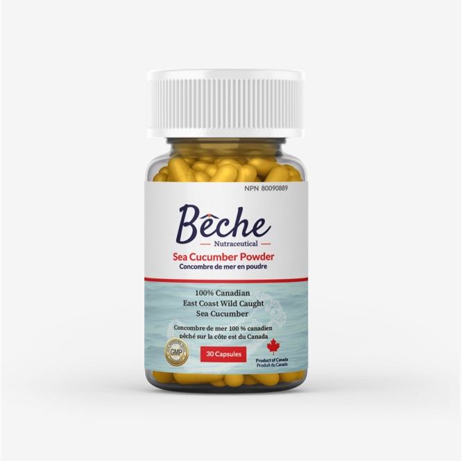 Bêche Sea Cucumber Powder Supplement