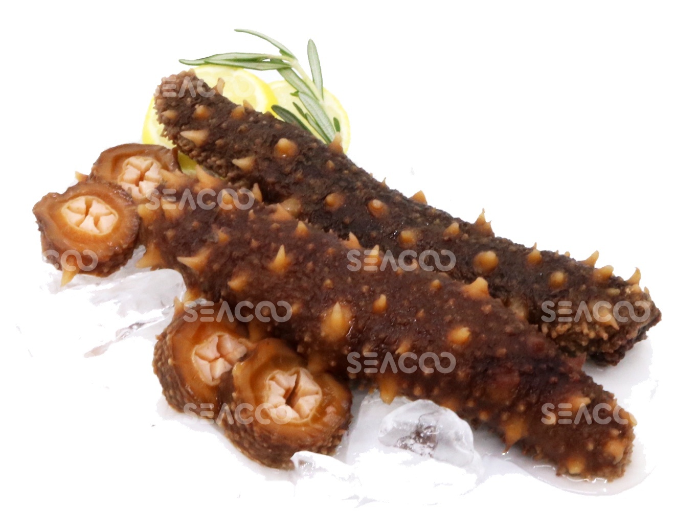 SEACOO Dried West Coast Sea Cucumber 454g Bag