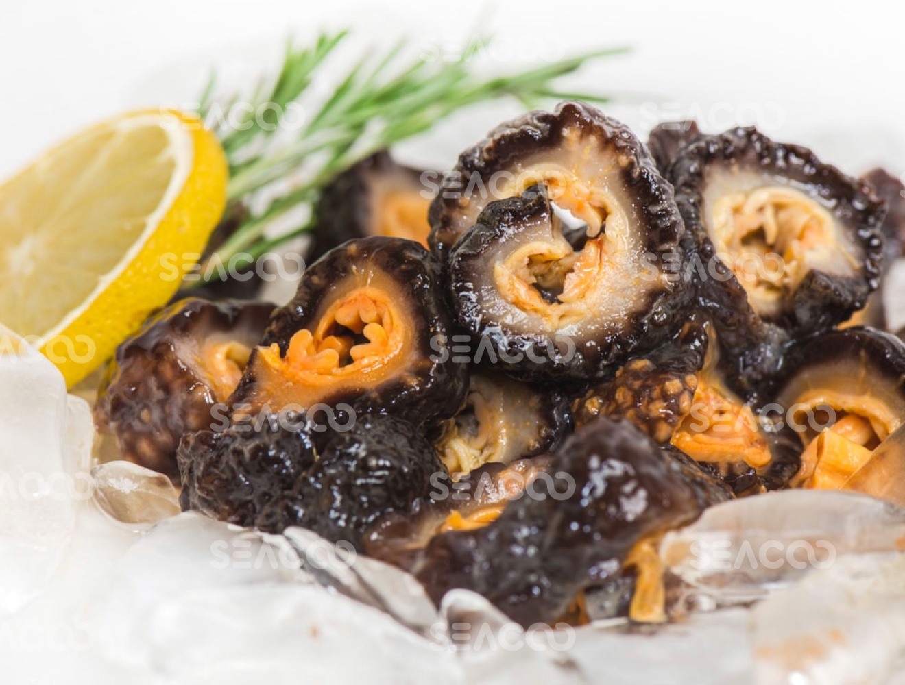 SEACOO Dried East Coast Sea Cucumber HG-Split 454g Bag