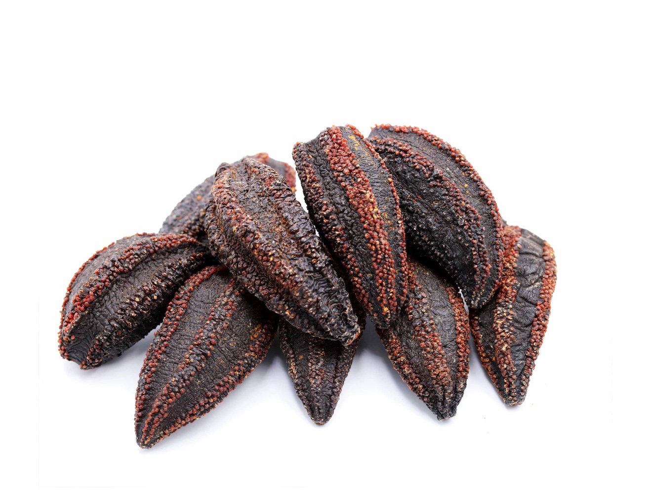 SEACOO Dried East Coast Sea Cucumber Whole 454g Gift Box