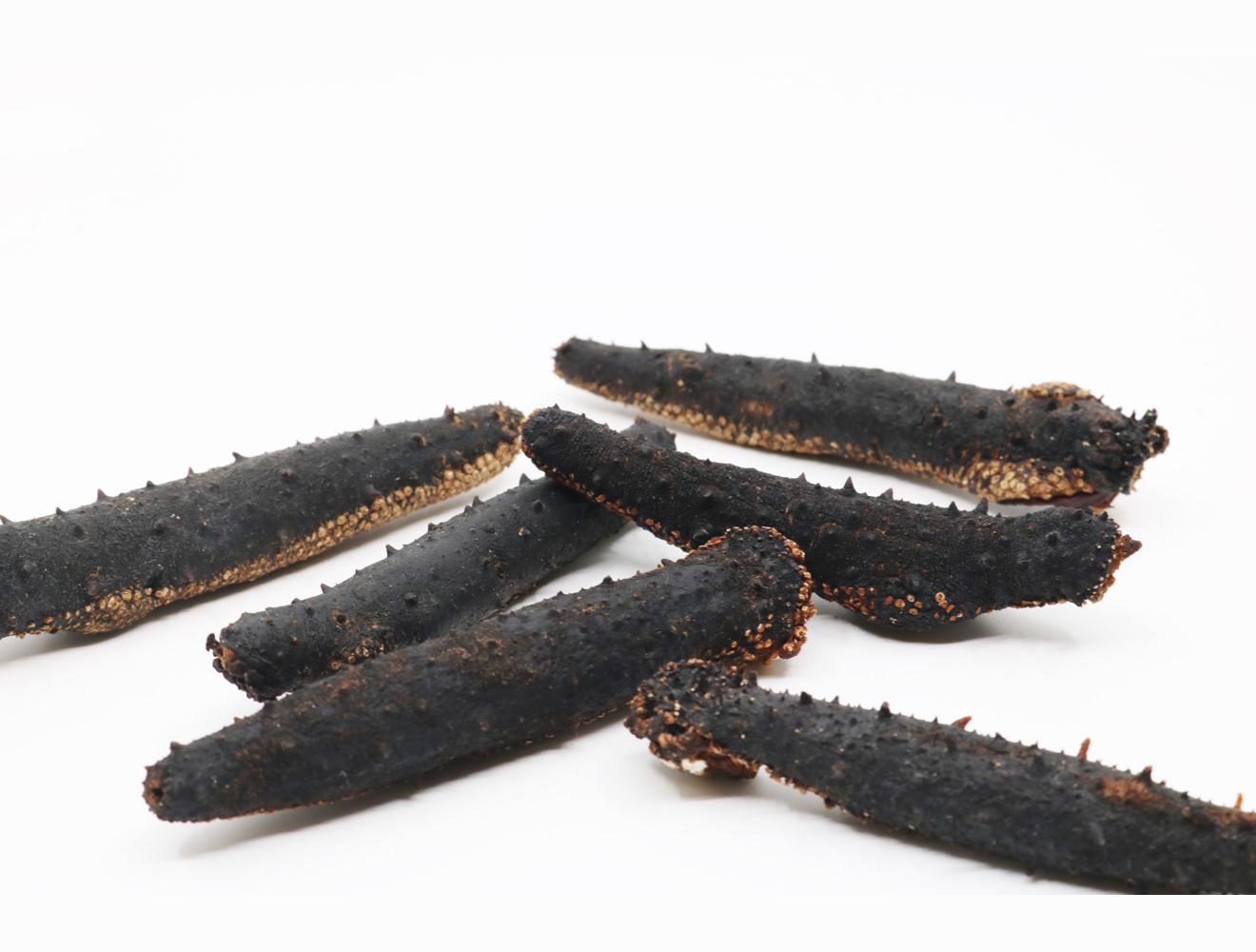 SEACOO Dried West Coast Sea Cucumber 454g Bag