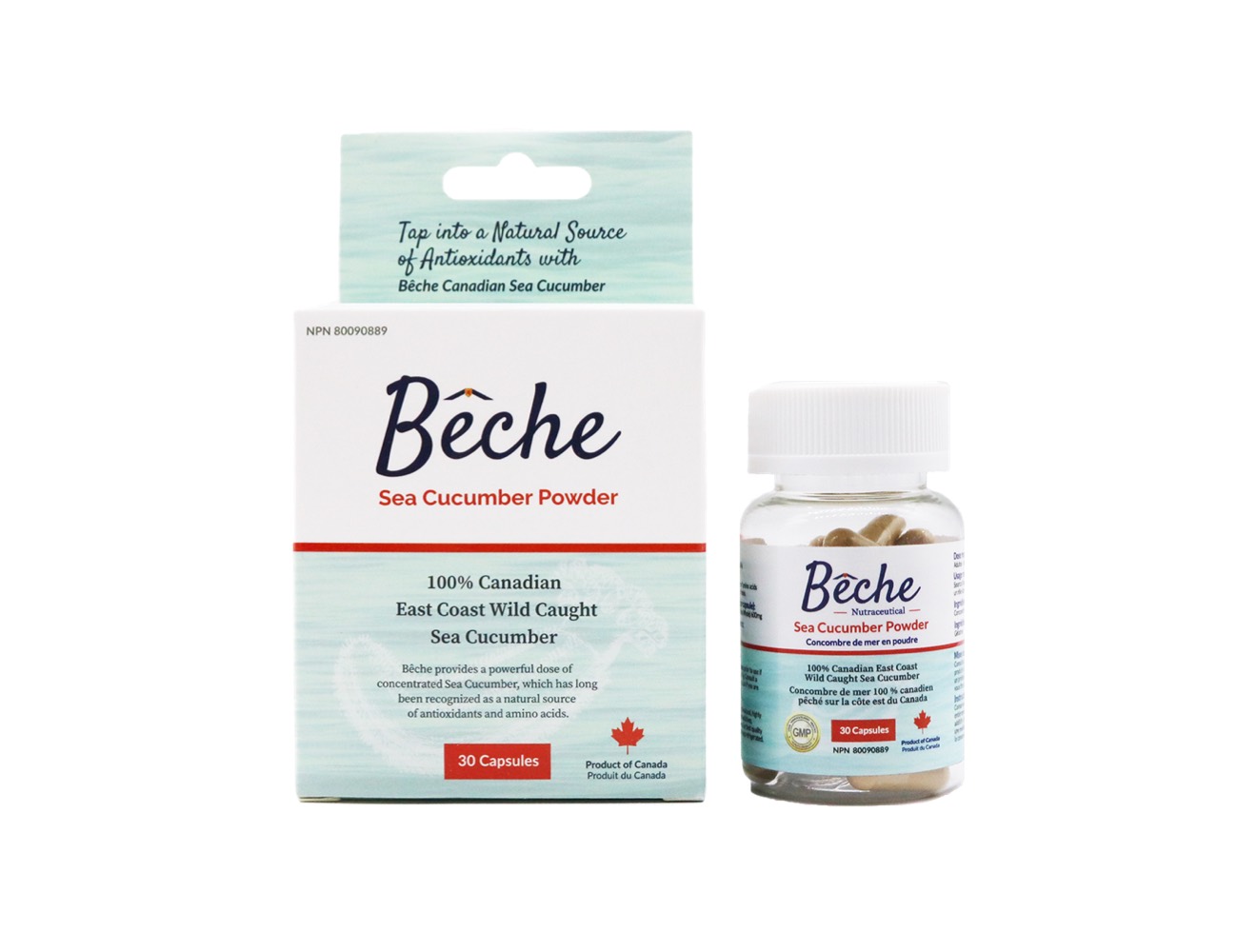 Bêche Sea Cucumber Powder Supplement