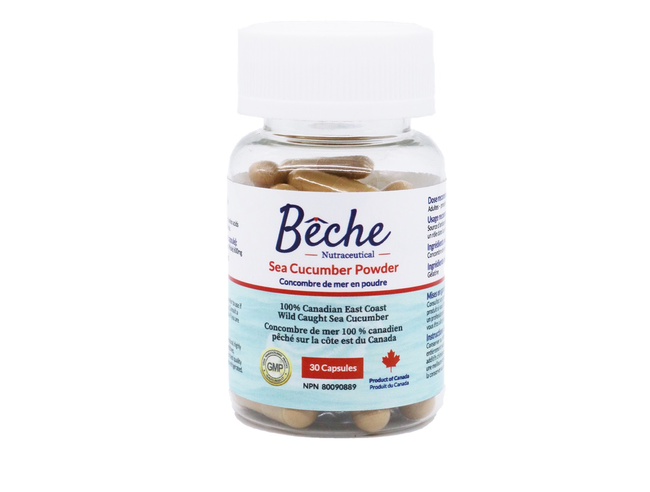 Bêche Sea Cucumber Powder Supplement